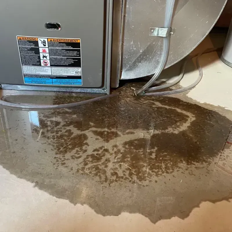 Appliance Leak Cleanup in Oneida, NY